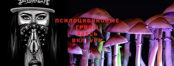 прущие крисы Инсар